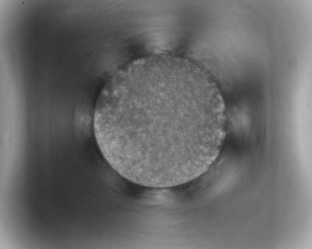 X0000101100427200807241032
