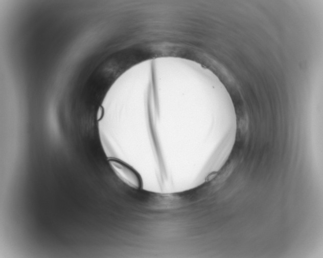 X0000101100429200807241032