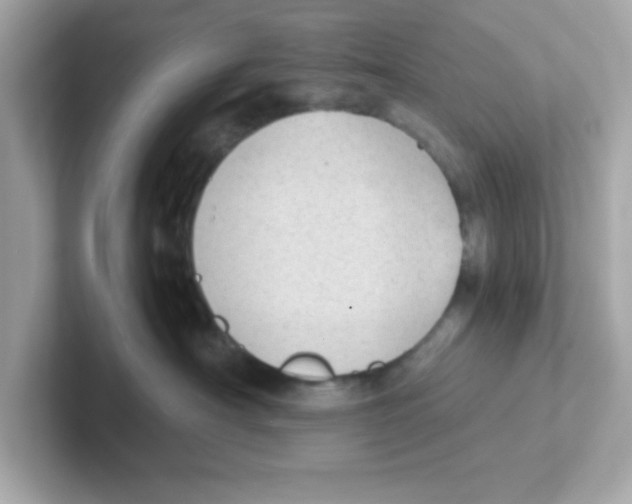 X0000101100430200807241031