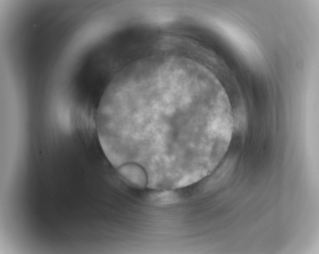 X0000101100431200807241031