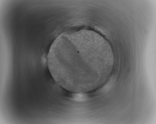 X0000101100432200807241031