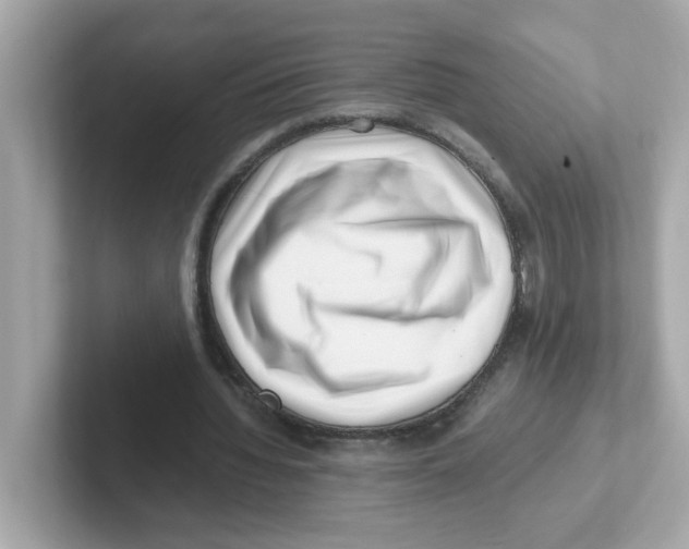 X0000101100436200807241031