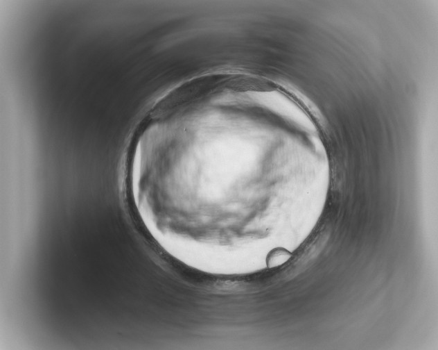 X0000101100437200807241031