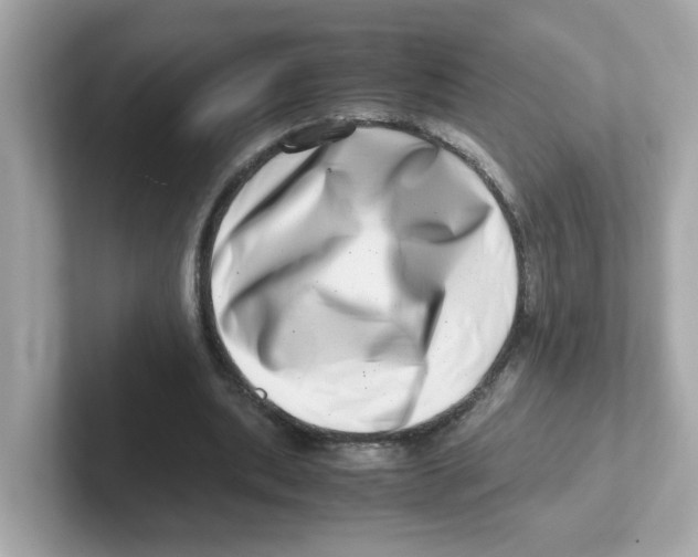 X0000101100439200807241031