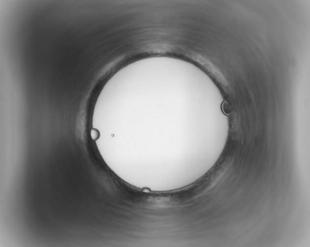 X0000101100440200807241031
