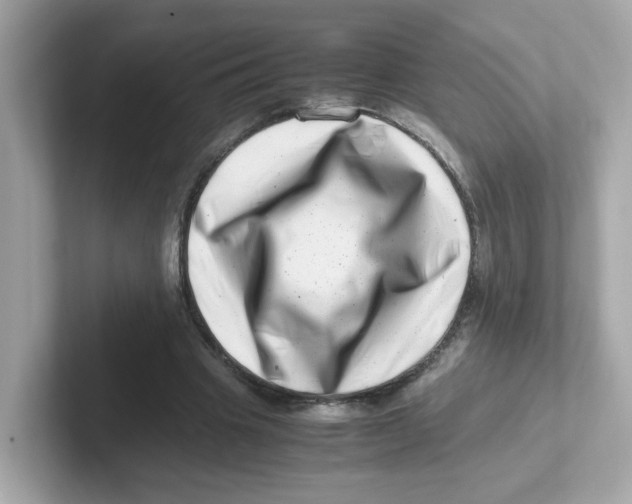 X0000101100441200807241031