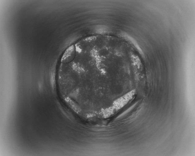 X0000101100443200807241031