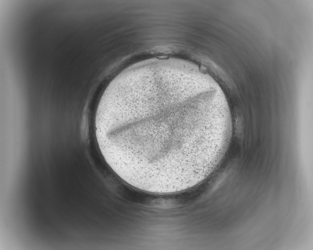 X0000101100444200807241031