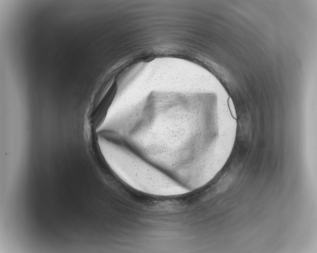 X0000101100446200807241031