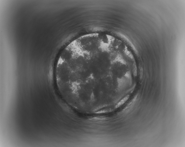 X0000101100447200807241031