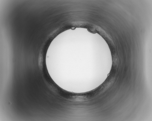 X0000101100448200807241031