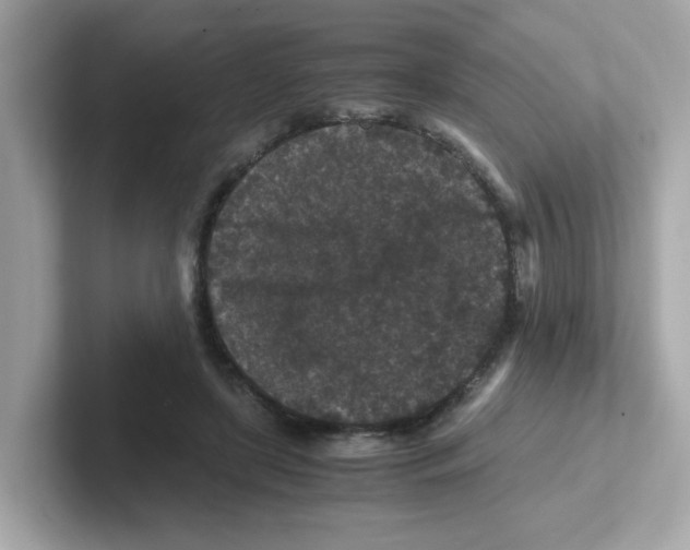 X0000101100451200807241031