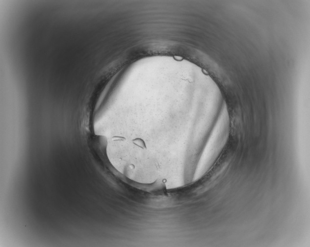 X0000101100454200807241031