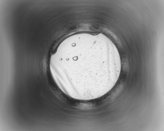 X0000101100455200807241031