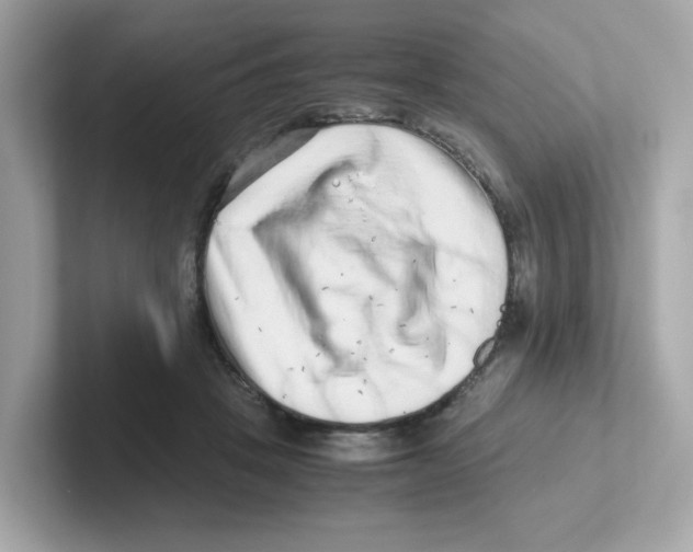X0000101100457200807241031