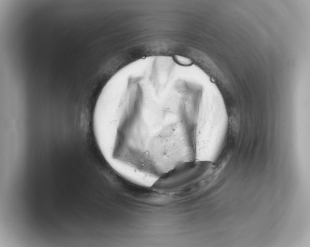 X0000101100458200807241031