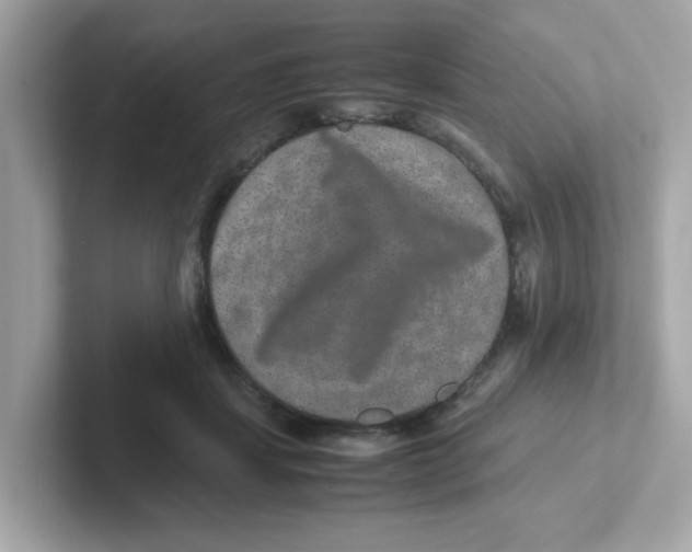 X0000101100459200807241031