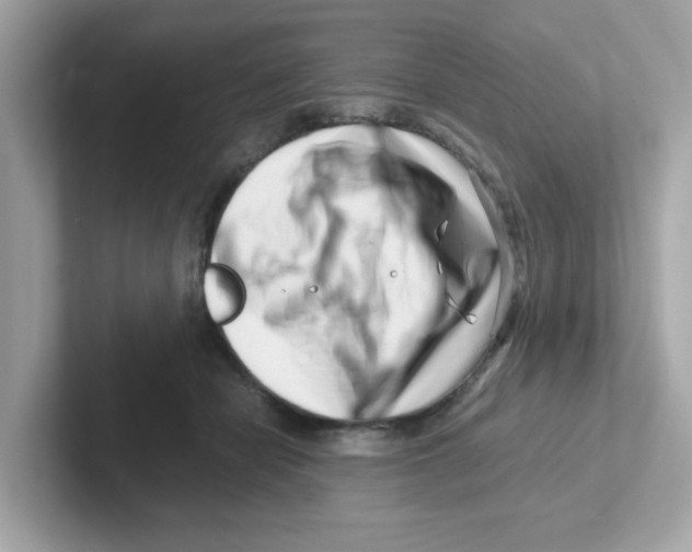 X0000101100462200807241031