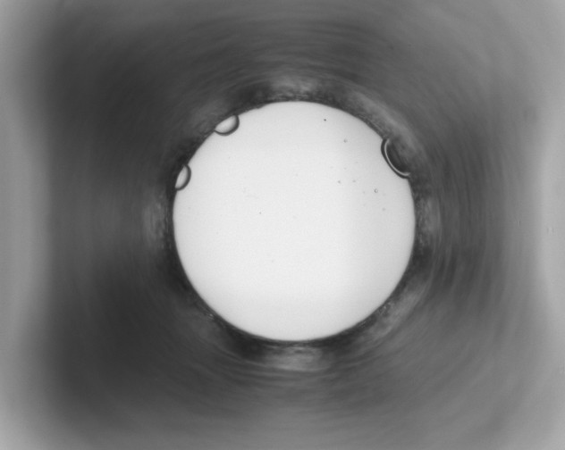 X0000101100463200807241031