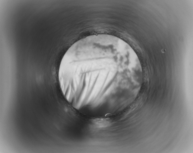 X0000101100465200807241031