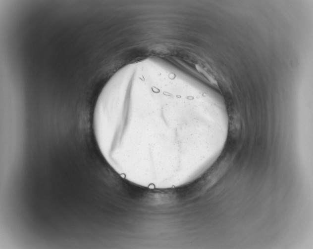 X0000101100466200807241031