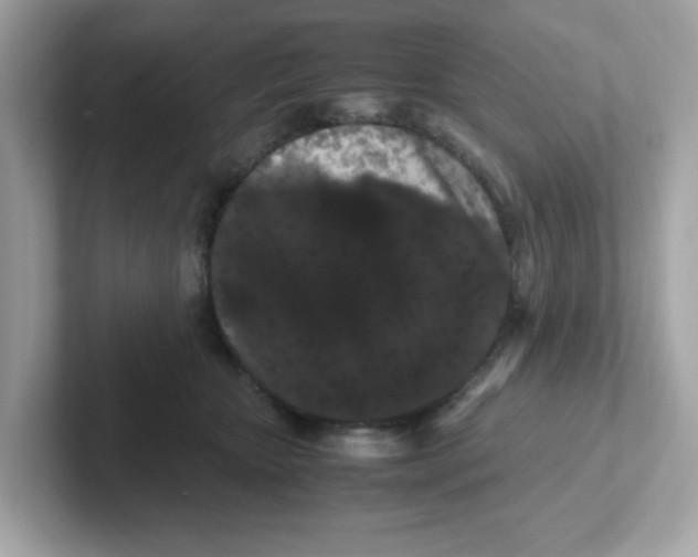 X0000101100467200807241031