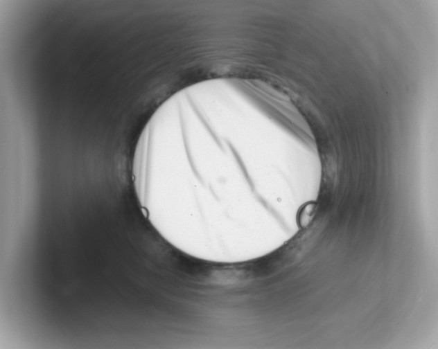 X0000101100470200807241031