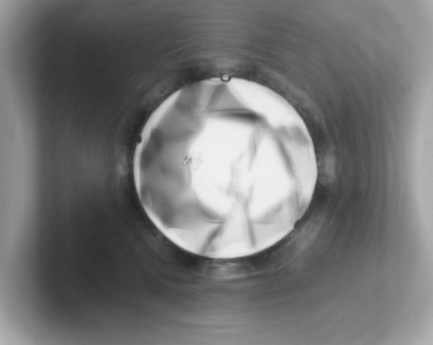 X0000101100472200807241031