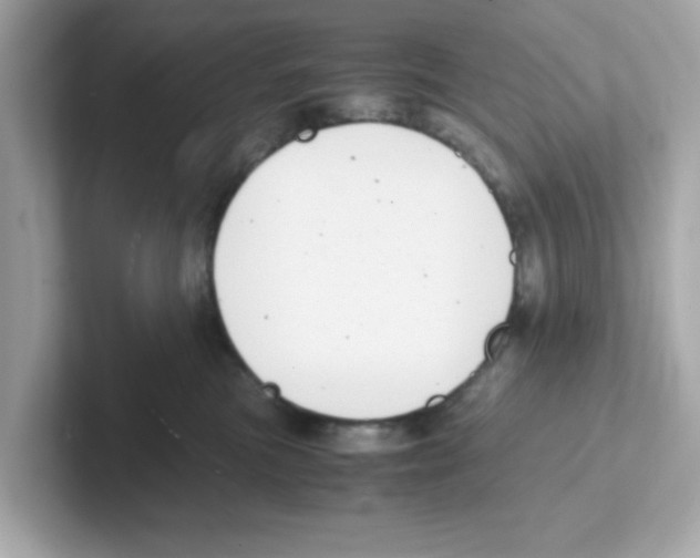 X0000101100473200807241031