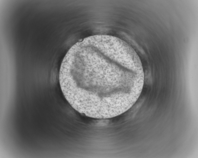 X0000101100474200807241031