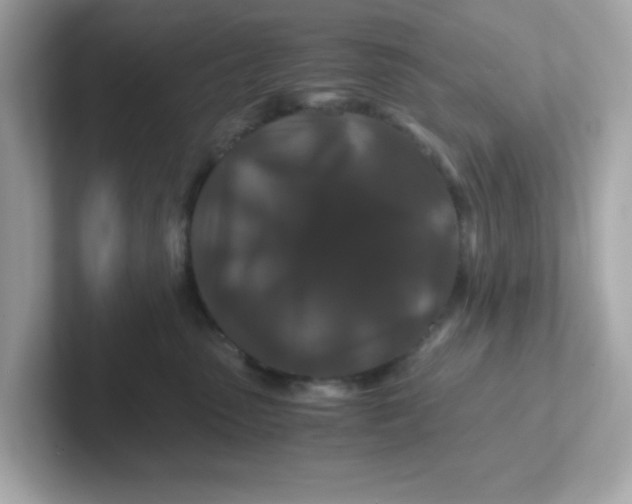 X0000101100475200807241031