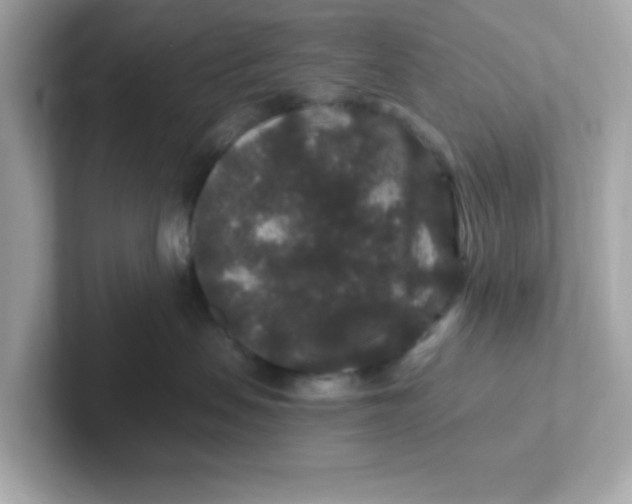 X0000101100479200807241031
