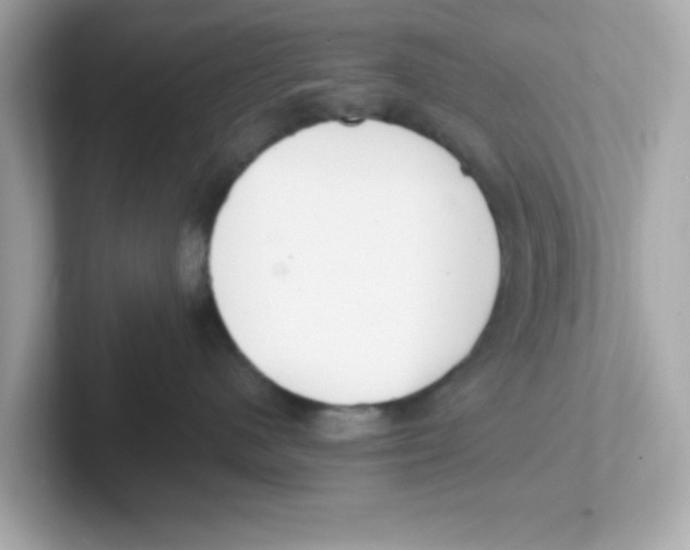 X0000101100480200807241031