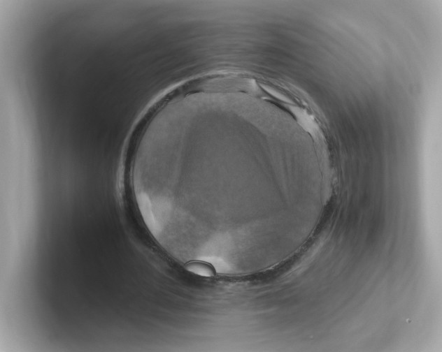 X0000101100484200807241031