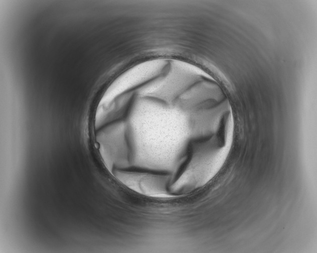 X0000101100486200807241031