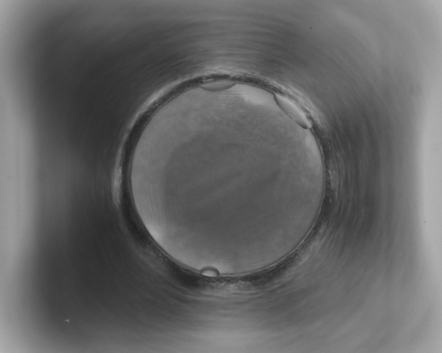 X0000101100488200807241031