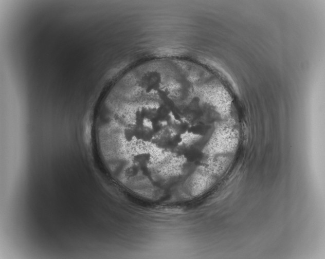 X0000101100491200807241031