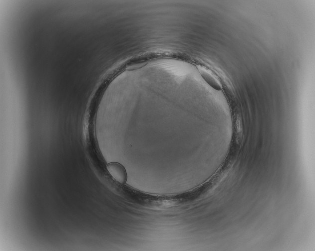 X0000101100492200807241031