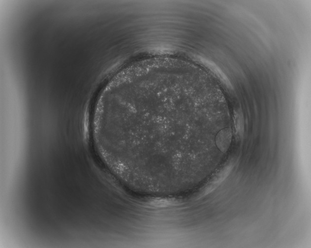 X0000101100494200807241031