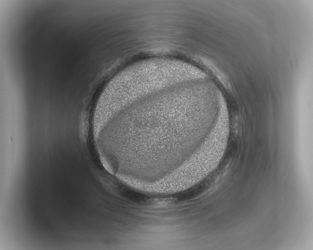 X0000101100495200807241031