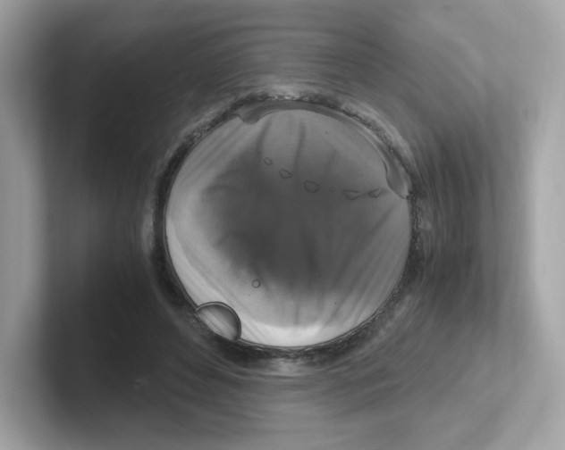X0000101100496200807241031