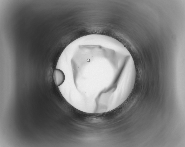 X0000101100498200807241031
