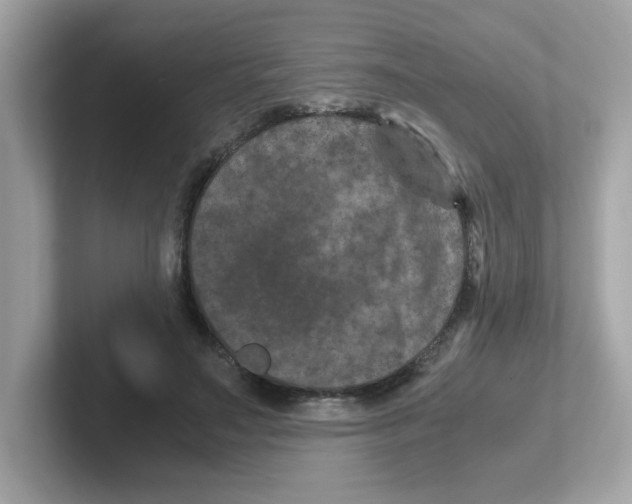 X0000101100499200807241031