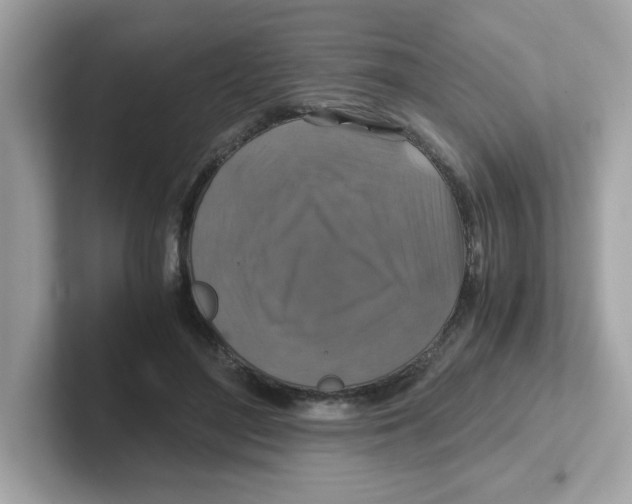 X0000101100500200807241031