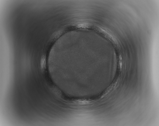 X0000101100502200807241031