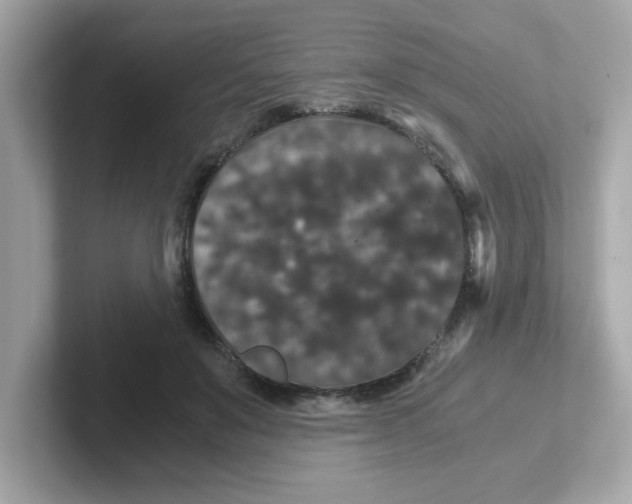 X0000101100503200807241031