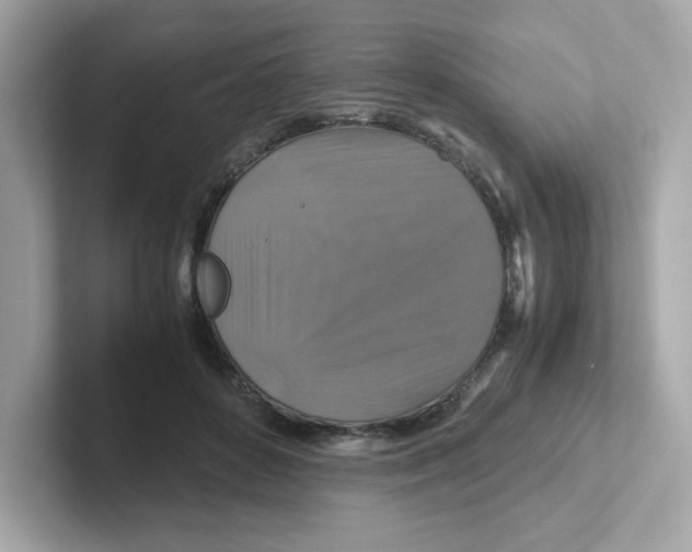 X0000101100504200807241031