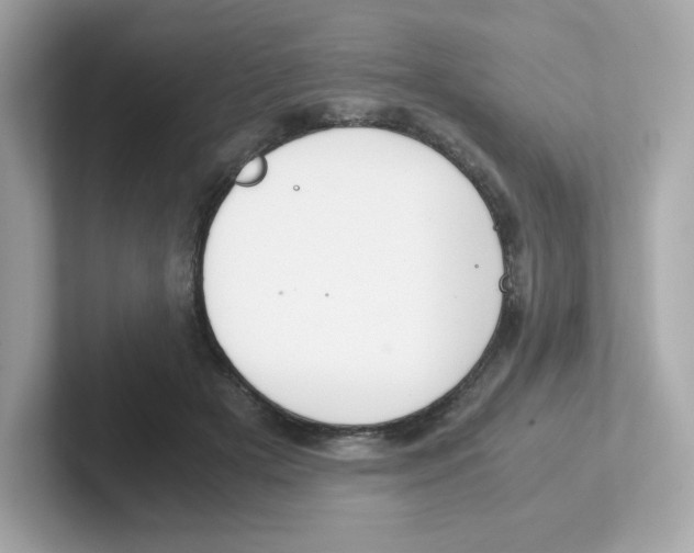X0000101100505200807241031
