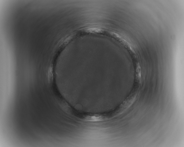 X0000101100506200807241031