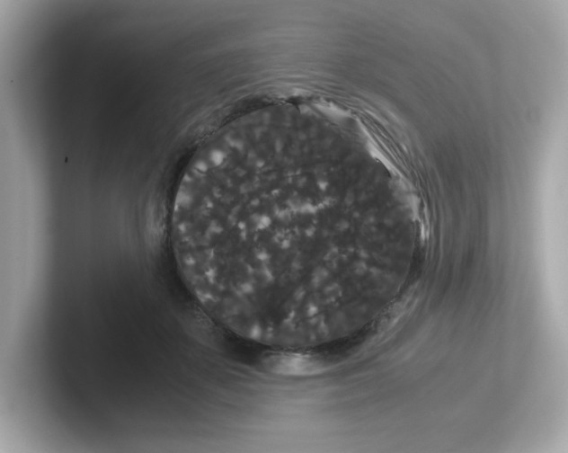 X0000101100507200807241030